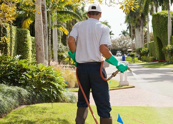 About Rapid City MI Pest Control